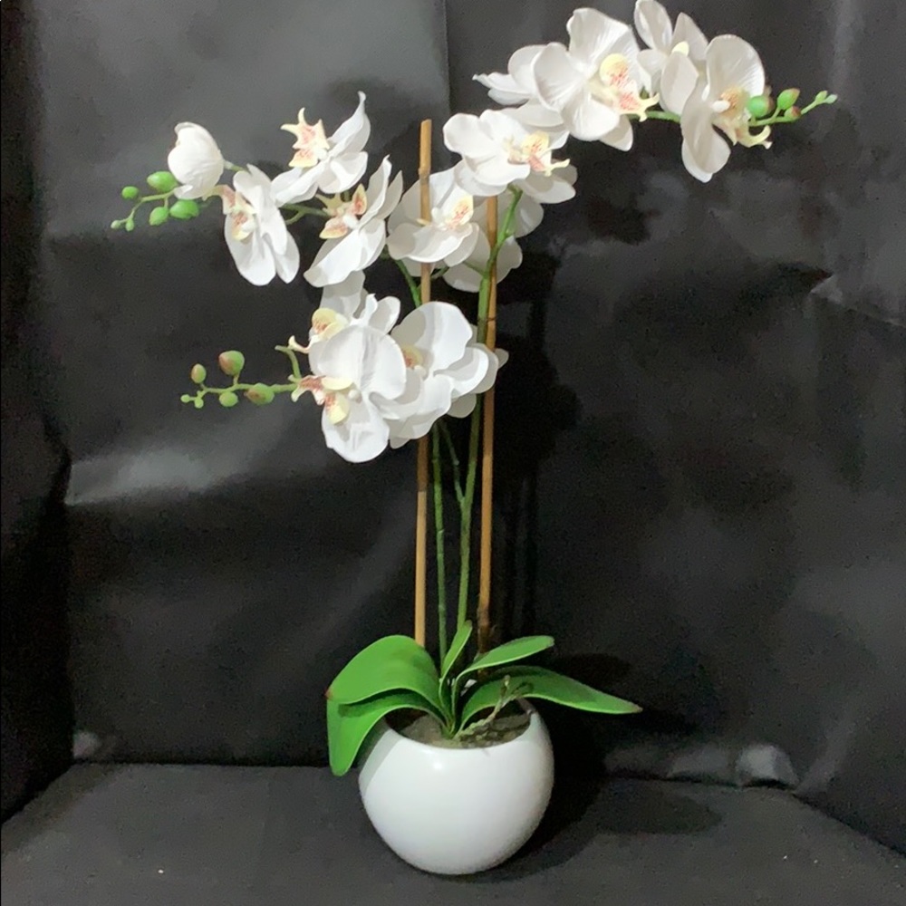 Silk Orchid in round vase